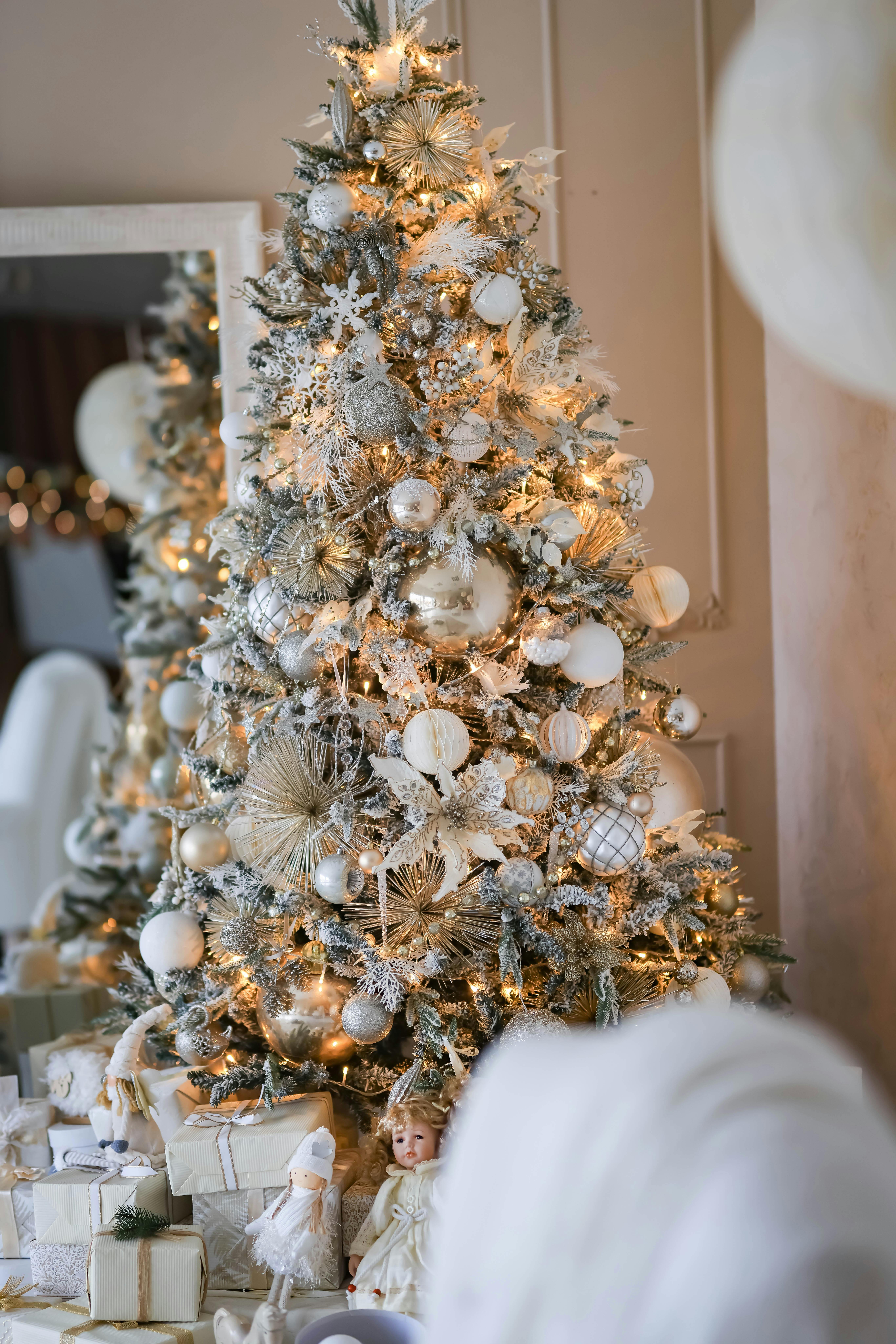 White Pine Fir